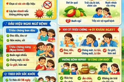 Tuyên truyền phòng chống dịch bệnh virus Nipah